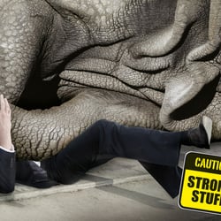Projekt: Kampagnenidee, Rhino’s • Kunde: Hello AG