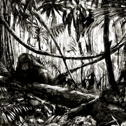 benrennen-com-gorilla-003
