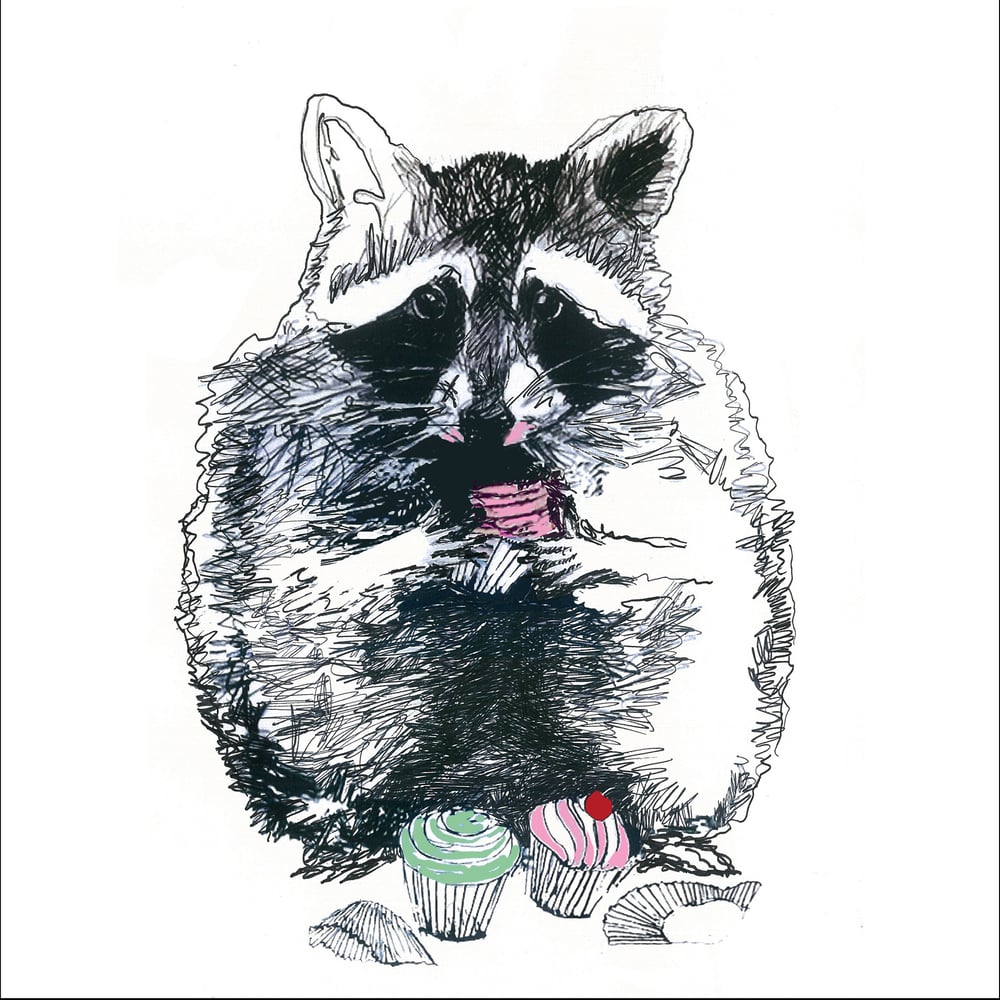 waschbär