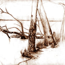 Free hand drawing / study