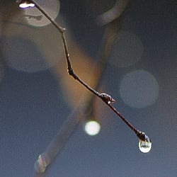 Regentropfen