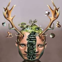 „facelift“