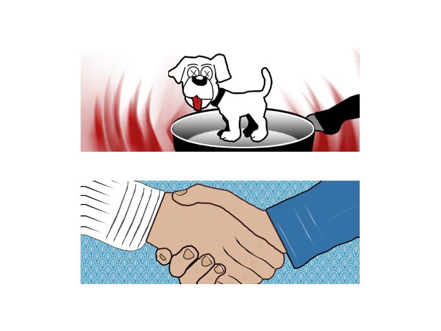 Hund wird in der Pfanne verrückt und Service
