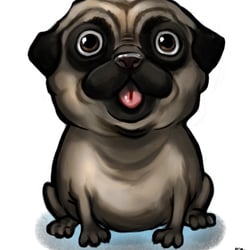 Pug