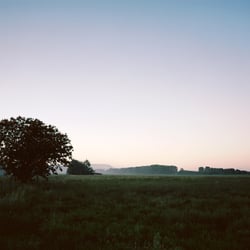 „Sehnde“