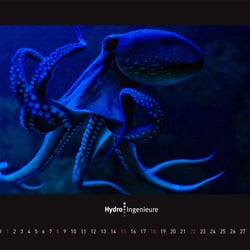 november