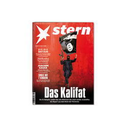 diverse Cover für den stern