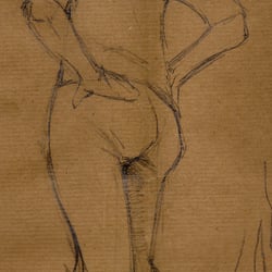 Aktstudie