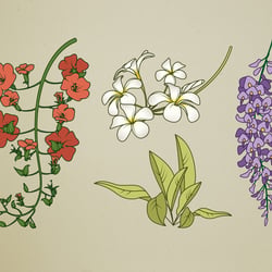Blumen