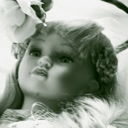DOLLS – AUG. 2014