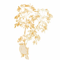 Barranco Tree with Bird