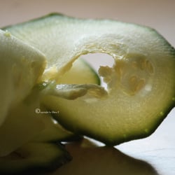 Zuchini Food Foto Übungen März 2014