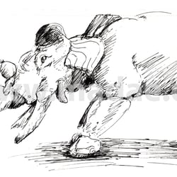 Olofant