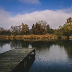 Steg beim Märwiler Weiher, Thurgau
