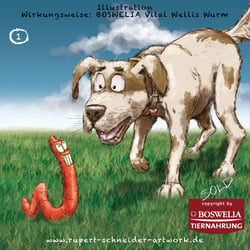 Wirkungsweise Wurmwellis, 1 von 3
