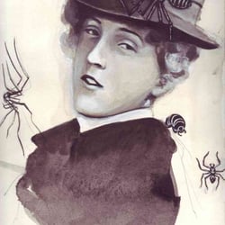 Spiders