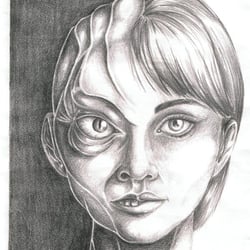 Illustration zum Thema Metamorphose