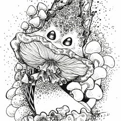 The Mushroom King
