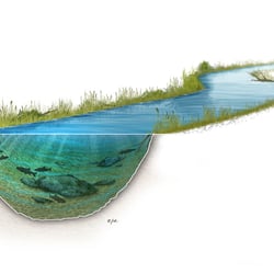 Gewässer-Querschnitt, Pixel-Illustration