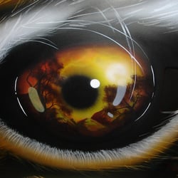 Tigerauge auf PC-Seitenteil ca.40×40cm