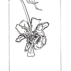 Zeichnung Nr.66