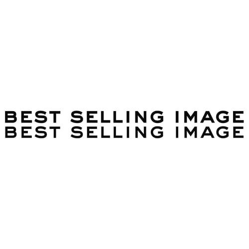 Best Selling Image