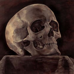 Schädel, 2017, Öl auf Leinwand, 40cm x 50cm