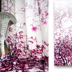 Design Lomi