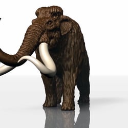 Das virtuelle 4-Meter-Mammut in 3D