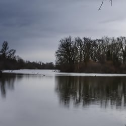 DSC 2465-2