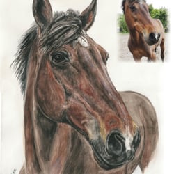 Aquarell