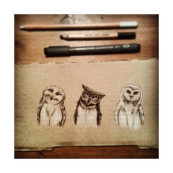 three owls