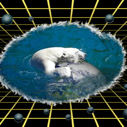 Eisbär