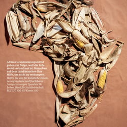 Afrikas Grundnahrungsmittel