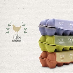 Tipkes Hofkontor Logo/CI