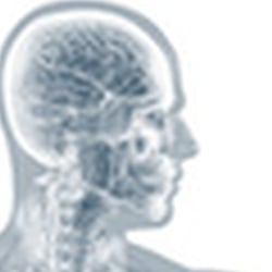 Anatomische Illustrationen: Mann und Frau