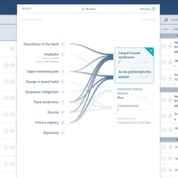 Das Interaktionsdesign basiert auf einer grafischen Darstellung des Denkmodells von Ärzten bei der Diagnose