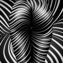 Zebra Nude Art – Fine Art – Aktfotografie-Kunst in schwarzweiß