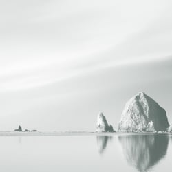 RESILIENCE / Corporate Design