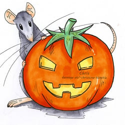 Ratte mit Kürbis