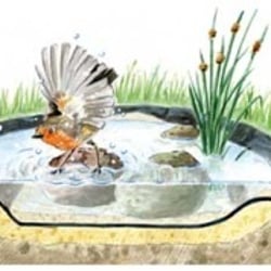 Vogelbad für „Mein Schöner Garten“ _ Sozietät für Kommunikation