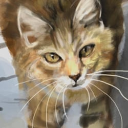 vet by yefimia d8xn1ku-fullview
