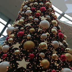 Cristmas 2013 Part 02