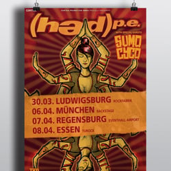 Plakatdesign „Head PE“