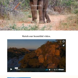 Website