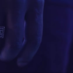 Blue – Banda
