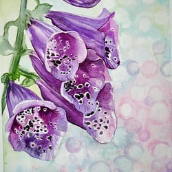 Frühlings Blumen