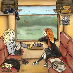 Im Hogwartsexpress