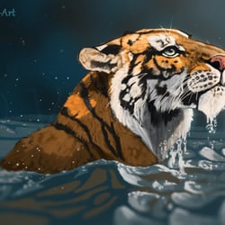 Tiger im Wasser