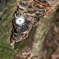 Zeit